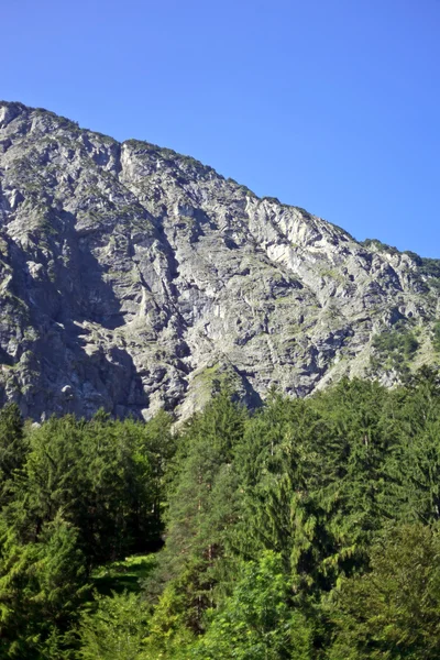 Cenário de montanha alta no verão com céu azul — Fotografia de Stock