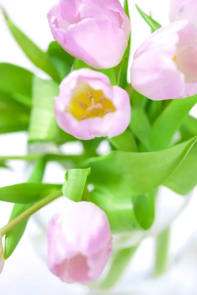 Tulipanes rosados en el jarrón —  Fotos de Stock