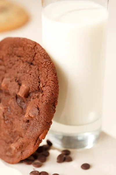 Melk met cookie — Stockfoto