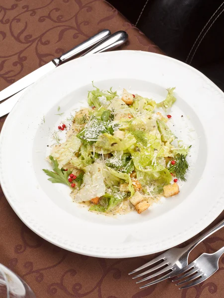 Plantaardige salade met croutons — Stockfoto