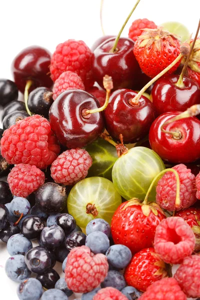 Different kinds of berries — Stock Photo, Image