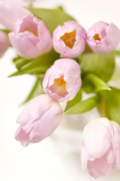 ピンクのチューリップ、花瓶 — ストック写真