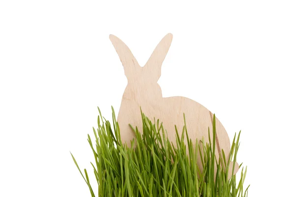 Пасхальный кролик на траве — стоковое фото