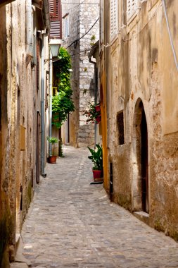 Italian Village Alley With Doors and Plants, Tuscany clipart