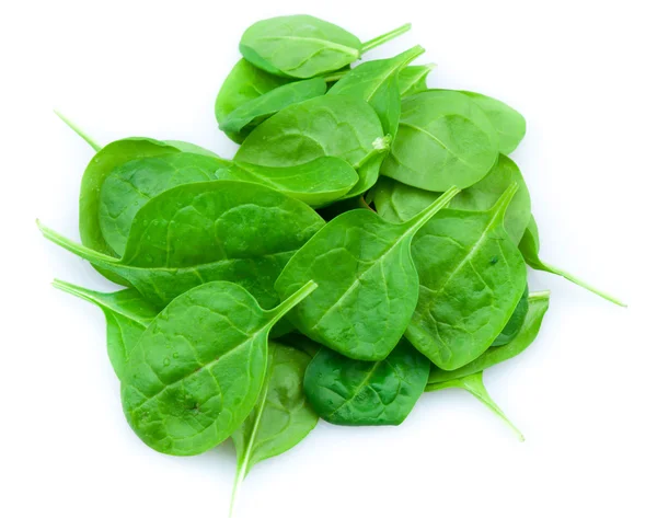 Baby spinach leaves — Stock Photo, Image