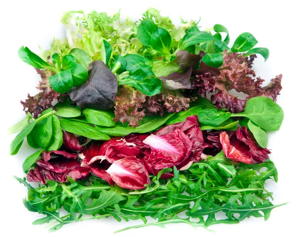 Смешанный салат — стоковое фото