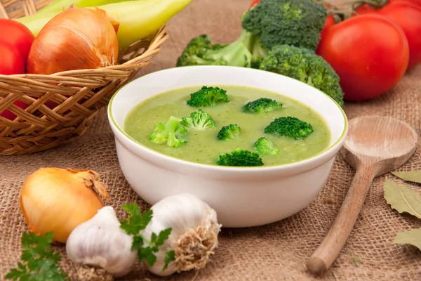 stock image Broccoli Soup