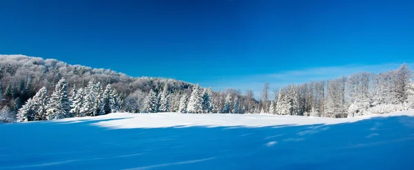 Panorama inverno — Fotografia de Stock