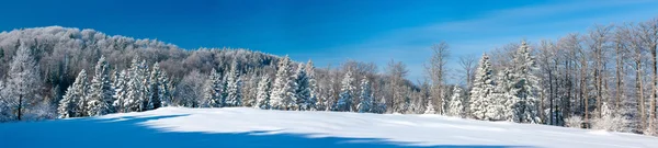 Zimní panorama — Stock fotografie