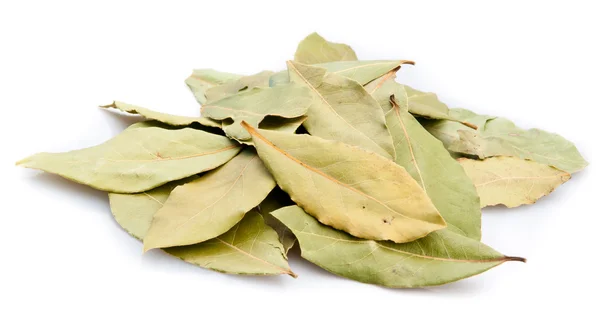 Dry bay leaves — Stock Photo, Image