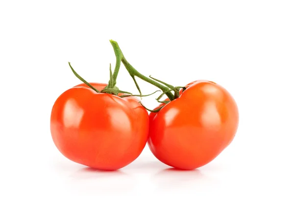 Foto de cerca de tomates — Foto de Stock