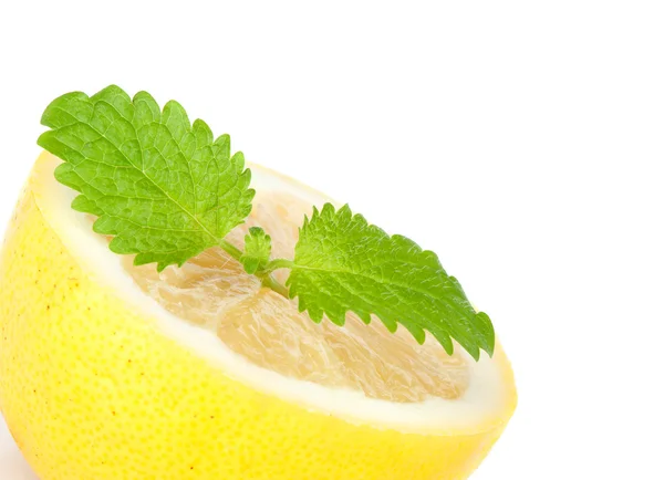 Citronem a mátou — Stock fotografie