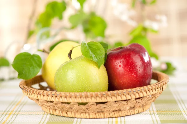 Сочные зеленые и красные яблоки в корзине — стоковое фото