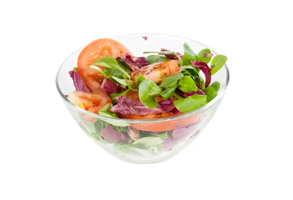 Porcja zdrowej sałatki warzywnej — Zdjęcie stockowe