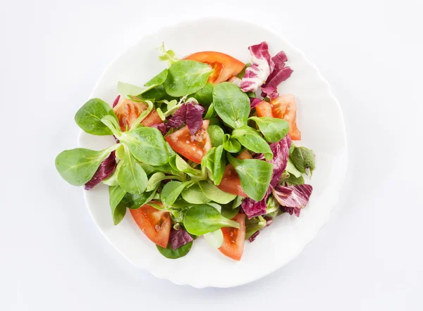Grönsaker sallad på en tallrik närbild — Stockfoto
