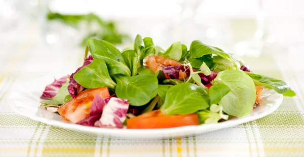 Gros plan de salade de légumes — Photo
