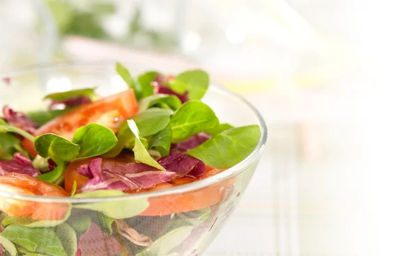 Салат з овочами — стокове фото