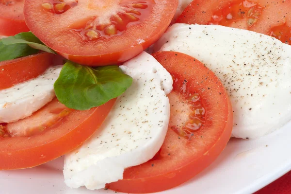 Salat mit Mozzarella und Tomaten — Stockfoto