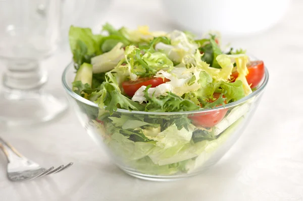 Lezzetli sebze salatası. — Stok fotoğraf