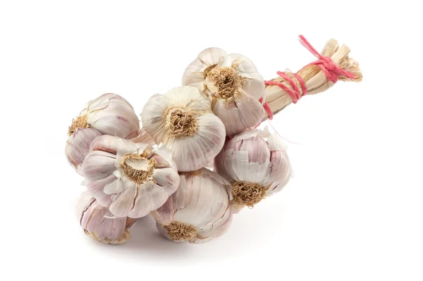 stock image Garlic closeup