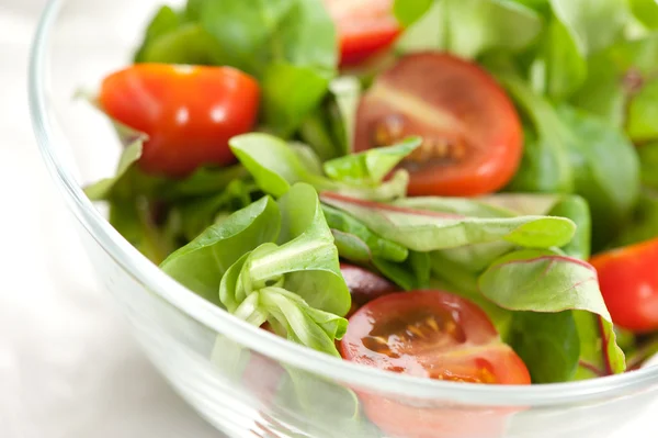 Salade close-up — Stockfoto