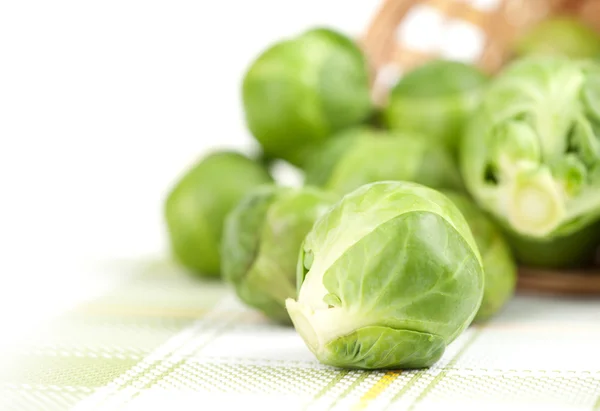 Green Cabbage — Stock Photo, Image