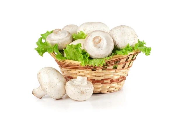 Fungo di Champignon in un cesto — Foto Stock