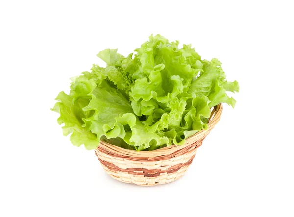 Levelek a salátát egy kosárban — Stock Fotó