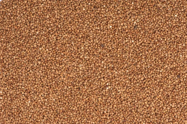 Textura de trigo mourisco — Fotografia de Stock