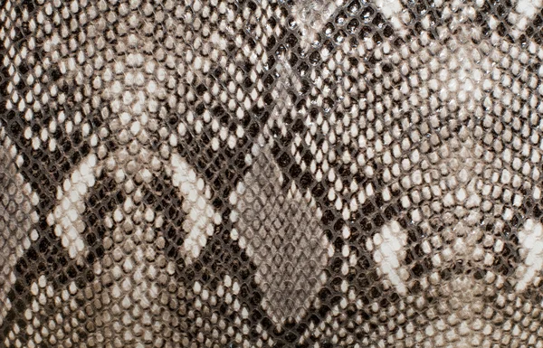 Textura de piel de serpiente —  Fotos de Stock