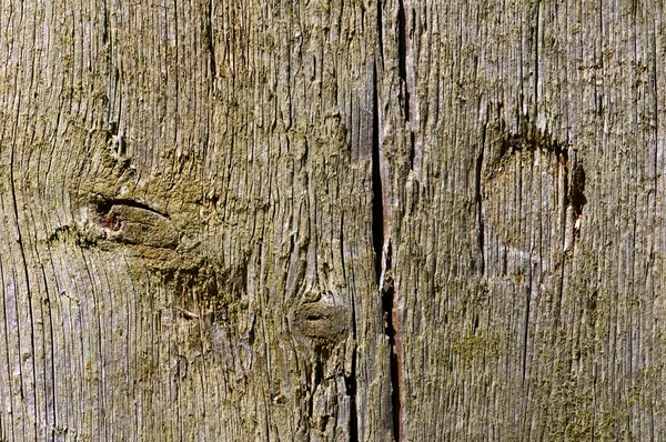 古い木の質感。任意のデザイナーの使用. — ストック写真