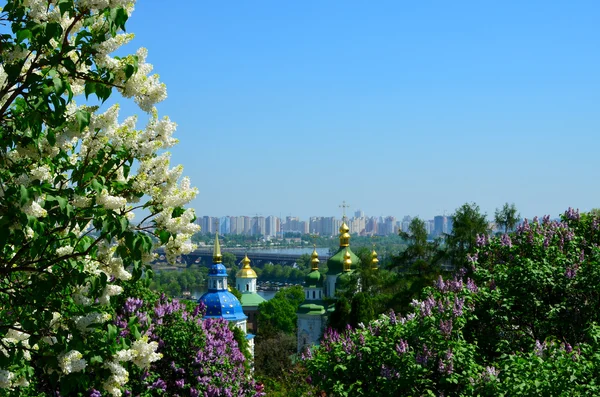 Wydubicki w Kijowie klasztor z kwitnące Lila — Zdjęcie stockowe