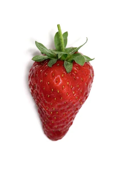 Röd mogen jordgubbe isolerad på vit bakgrund — Stockfoto