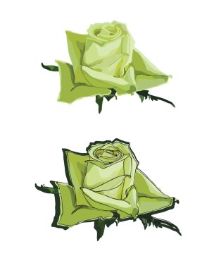 Green roses clipart