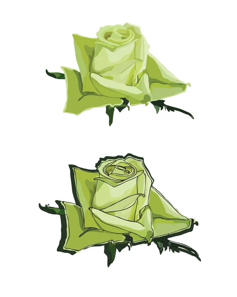 Зелений троянд — стоковий вектор