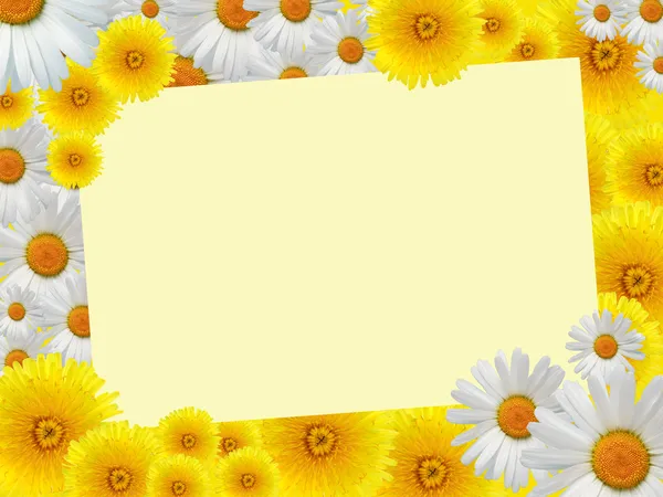 Blommor gratulationskort — Stockfoto