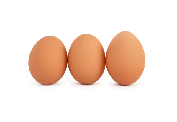 Huevos en blanco —  Fotos de Stock