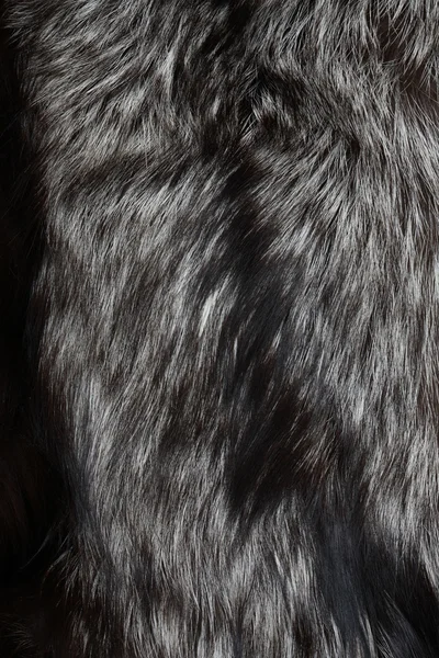 Silver Fox Fur — Stock Photo, Image