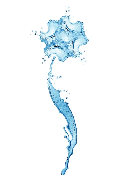 Vatten blomma — Stockfoto