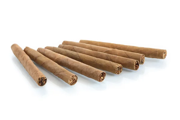 Cigarrer på vit — Stockfoto