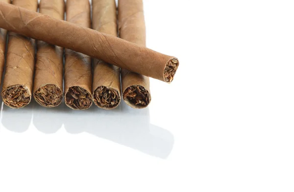 Zigarren auf Weiß — Stockfoto