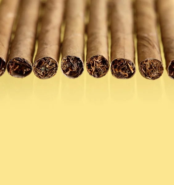 Сигары на желтом — стоковое фото