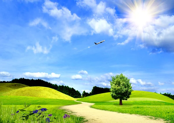 Grama verde e o céu azul — Fotografia de Stock