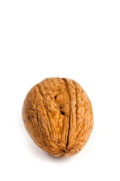 Single fresh walnut — Stock Photo, Image