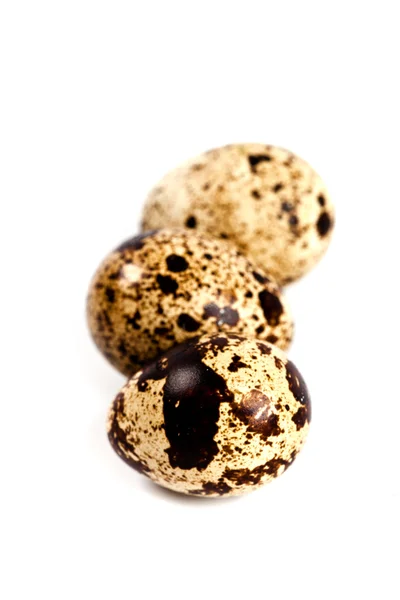 Three quail eggs — Stock Photo, Image