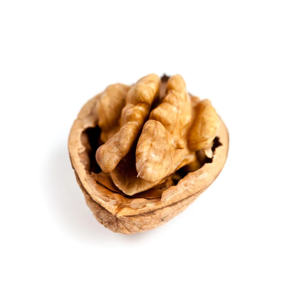 Свежий грецкий орех — стоковое фото