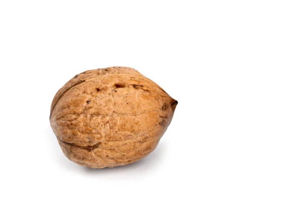 Свежий грецкий орех — стоковое фото
