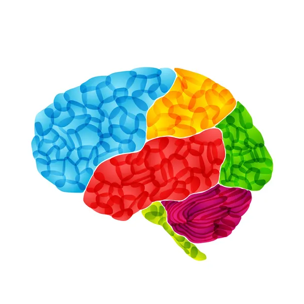 Human brain, vector abstract background — Stock Vector