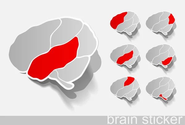 Ludzki mózg, realistyczne elementy — Wektor stockowy