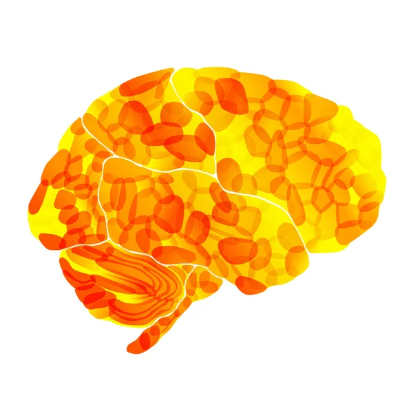 Cerveau humain, pensées solaires, fond abstrait vectoriel — Image vectorielle